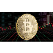 比特币巨鲸悄然增持6.5万枚BTC 掀起大规模囤币热潮