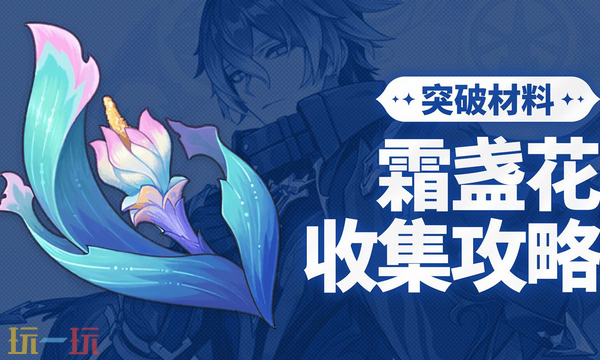 原神霜盏花怎么收集 霜盏花收集攻略