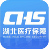 湖北智慧医保服务平台