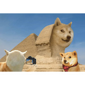 Meme币板块代币10月企稳未破新低，11月或迎幸运反弹