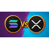 Solana与XRP：两条区块链，两种截然不同的生态模式