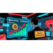 比特币Layer2生态大爆发：详解Merlin、B² Network等项目是否值得关注？