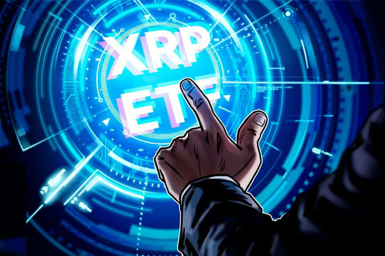 1762929821553941.jpg 202511112254390001.jpg