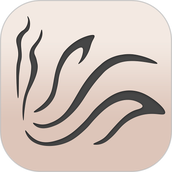 传奇今生官方网app