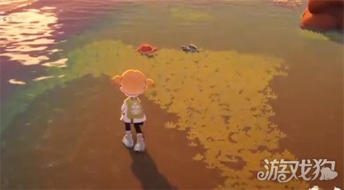 星布谷地螃蟹怎么捕捉2