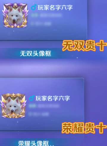 img_69252b968d8c336.png
