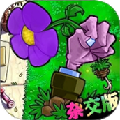 植物派对游乐园