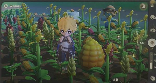 星布谷地变异果实怎么获取 星布谷地变异果实怎么获取