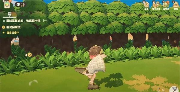 星布谷地怎么抓蝴蝶