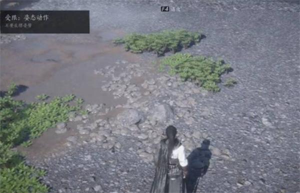 燕云十六声柿业有成任务怎么完成