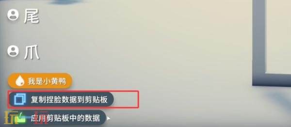 逃离鸭科夫捏脸数据怎么用 捏脸数据导入使用方法详情