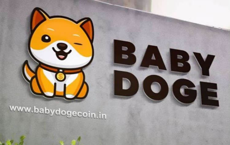 BabyDoge行情图表