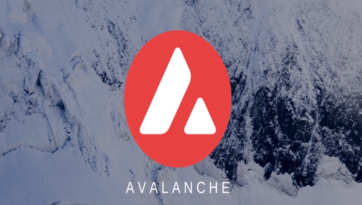Avalanche技术架构