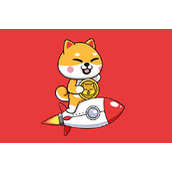 屎币如何购买？手把手教你币安购买屎币