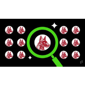 MasterBOT(BOT)是什么？值得投资吗？全面解析其技术架构、代币经济与未来前景