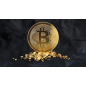 PinGo(PINGO)是什么币？价格能涨到多少？PINGO币走势深度解析