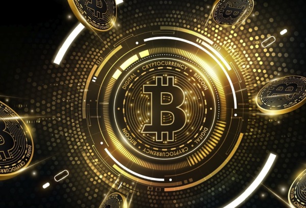 1766136589589643.jpeg 678768.jpeg