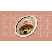 WIF币总量有多少-WIF通缩销毁机制会如何影响币价