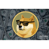 狗狗币未来走势如何-权威专家深度解析发展前景