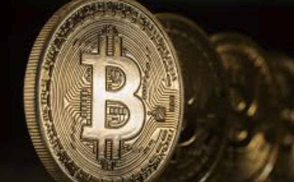 1766373476258087.jpeg 23463636.jpeg