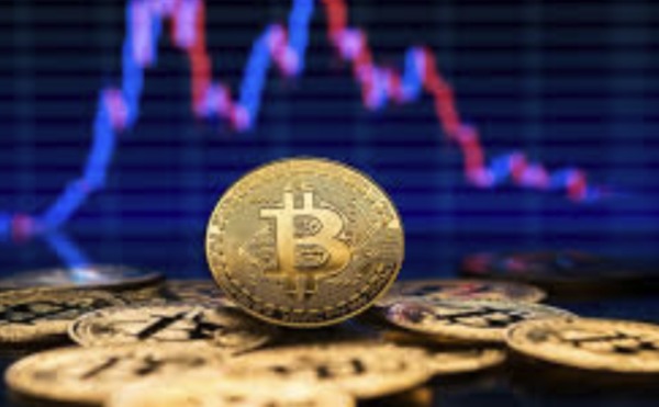 1766474586463484.jpeg 768768.jpeg