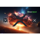 金丝雀资本CEO引爆XRP真相炸弹