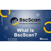 拒绝盲目交易！BscScan 入门：带你透视 BSC 链上的每一笔买卖