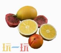 ARC Raiders混合药剂作用与制作方式一览