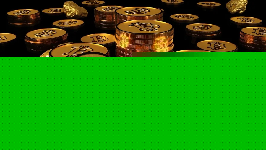 21241.jpg