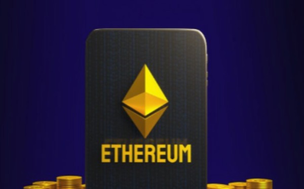 1767585550218503.jpeg 1767003196434776.jpeg