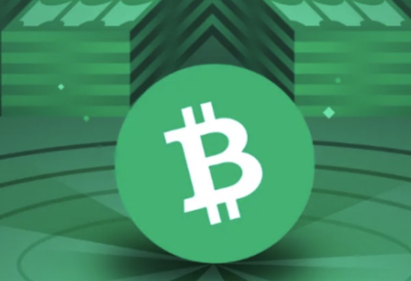 1767605055117940.jpeg 234234455.jpeg