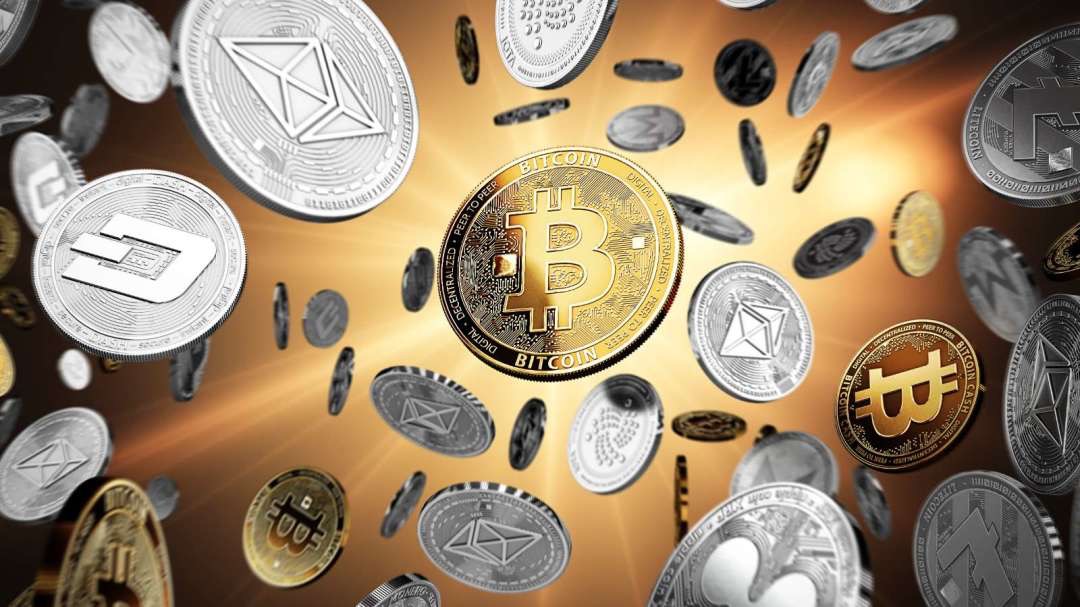 1767687714813158.jpeg 1767687714813158.jpeg