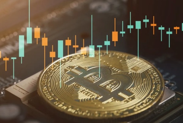 1767834996686542.jpeg 346464.jpeg