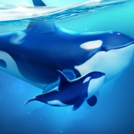 小小水世界无限资源版