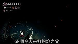 img_69733a86d1dac30.jpg