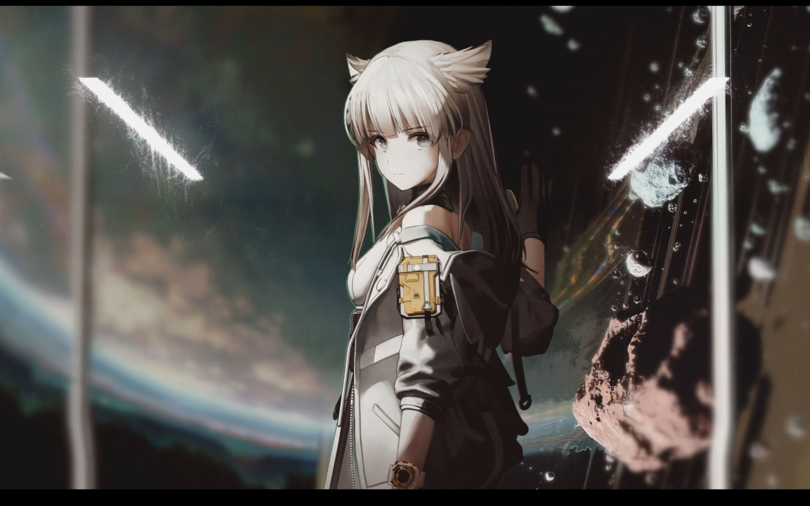 img_69777c88d85f433.png