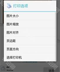 img_697abb8bb157330.jpg