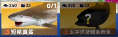img_697af659736bf31.png