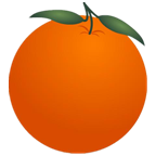 金桔社交浏览器