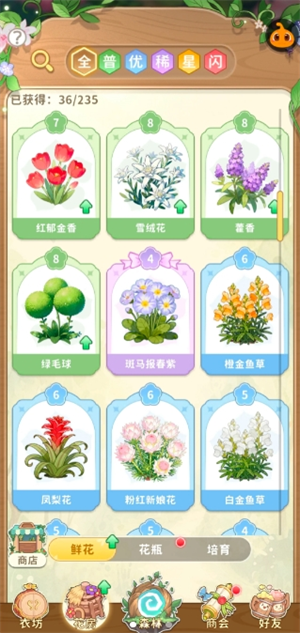 img_699eaf3965f9931.png