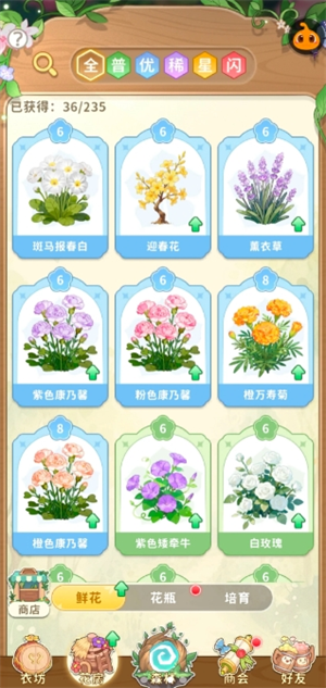 img_699eaf3965f9e33.png