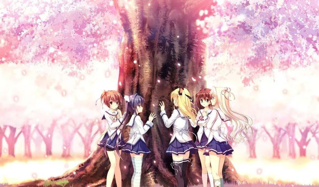 1772443228295535.png 1772443228295535.png