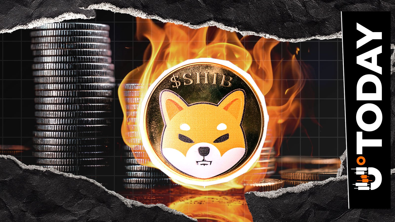 周末高活跃度后，SHIB销毁量降至零