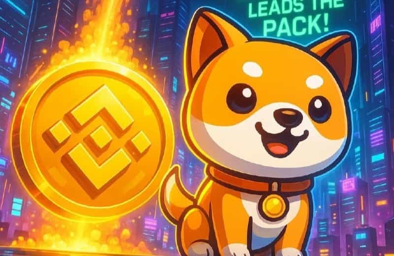 币安网页版秒速登录-币安web3官网极速直达