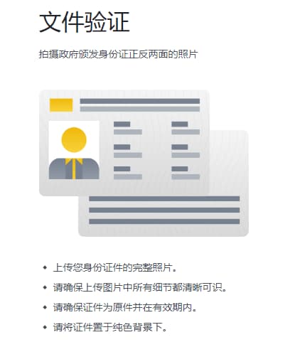 这里我选择身份件进行验证