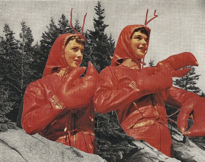 OpenClaw爆火之后：一只开源小龙虾，撬动了哪些美股？