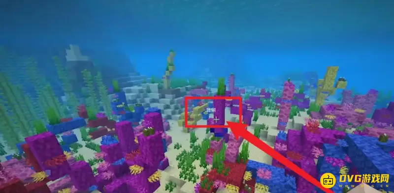 《迷你世界》海洋版本珊瑚岛位置详解
