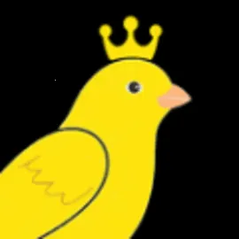 金丝鸟家庭服务2026