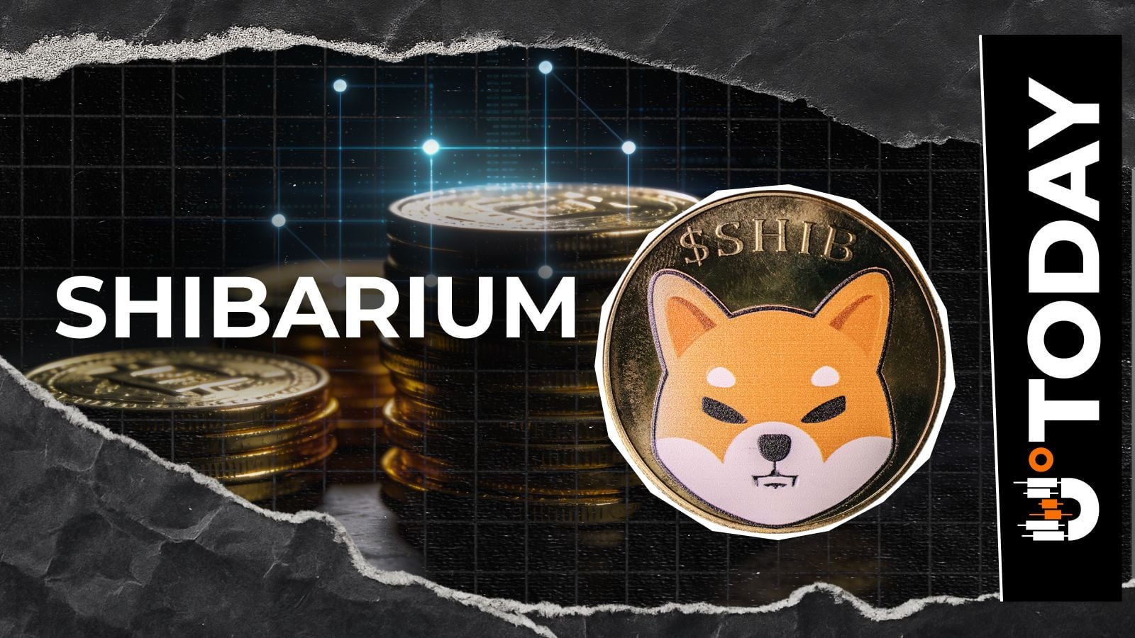 柴犬币的Shibarium交易量激增300%：其中大部分为空交易