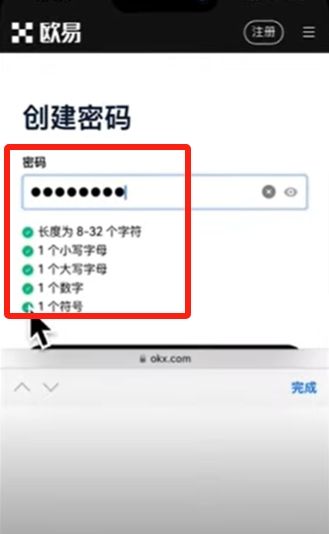 密码设置界面截图，展示密码强度要求及实时验证提示